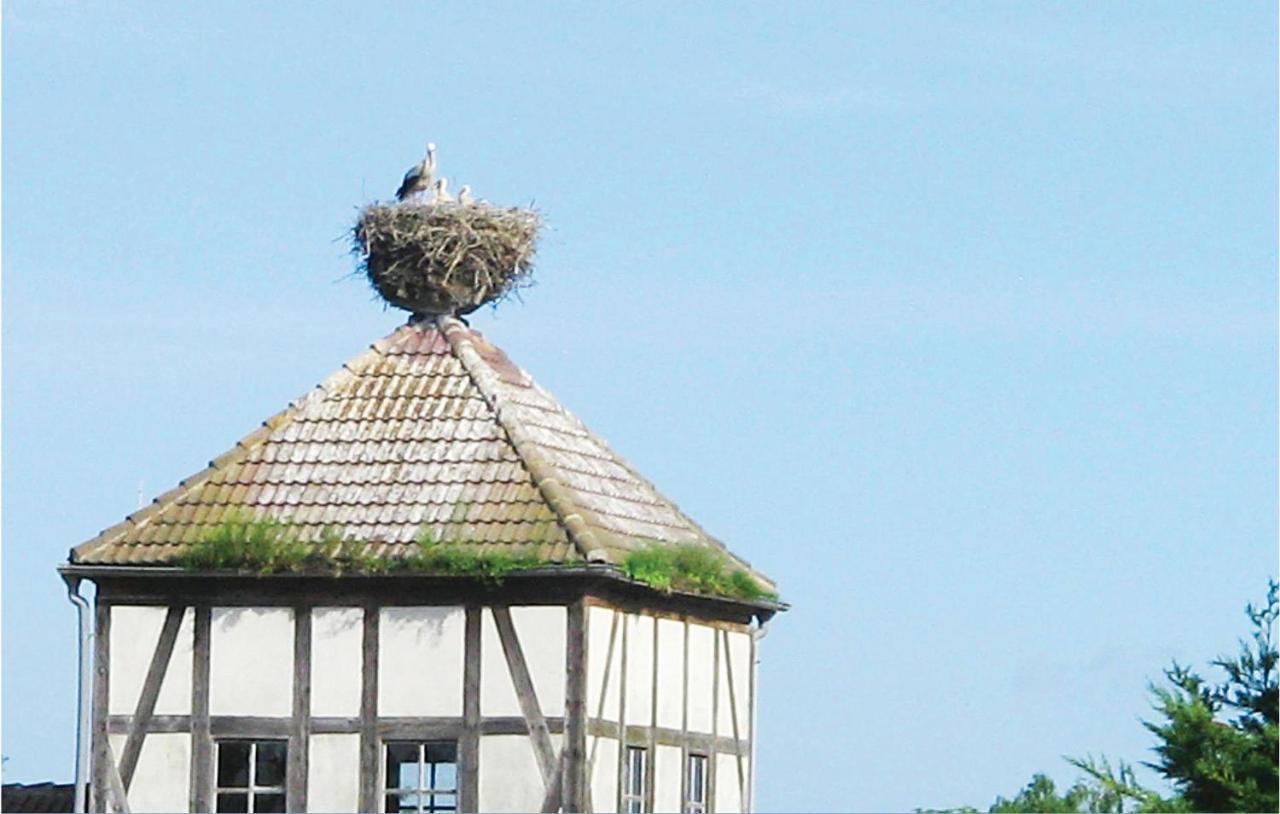Herrenhaus Luebbenow Uckerland Exterior foto